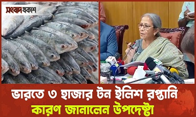 ভারতে কেন দিচ্ছেন ৩ হাজার টন ইলিশ, জানালেন উপদেষ্টা ফরিদা আখতার 