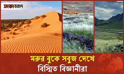 মরুভূমিতে হঠাৎ অরণ্যের ছোঁয়া