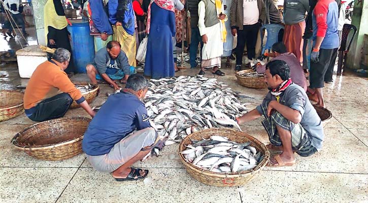 ৪০ লাখ টাকায় বিক্রি হলো এক ট্রলার ইলিশ