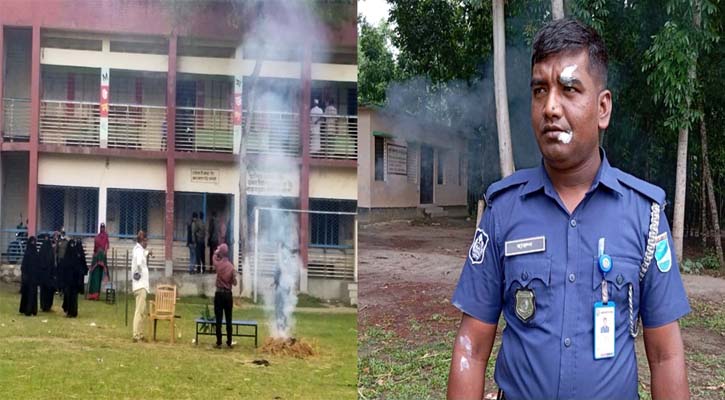 ভিমরুলের আক্রমণে ফাঁকা ভোটকেন্দ্র, পুলিশসহ আহত ৩৫