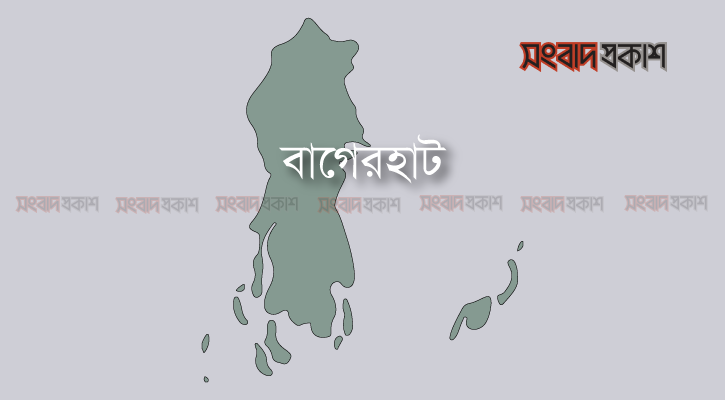 ভাতিজার লাঠির আঘাতে মাছ ব্যবসায়ী নিহত