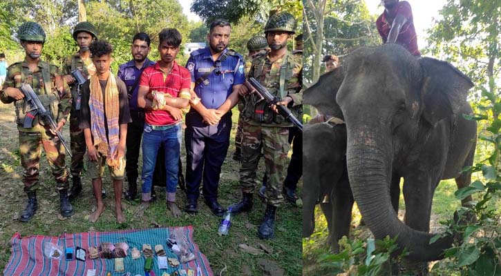 চাঁদাবাজির সময় হাতি ও ২ মাহুতকে আটক করে বিপাকে পুলিশ