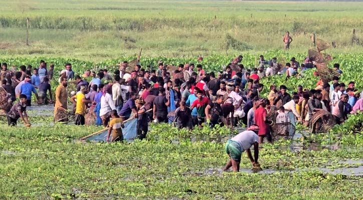 পলো বাওয়া উৎসবে হাজারও মানুষের ঢল