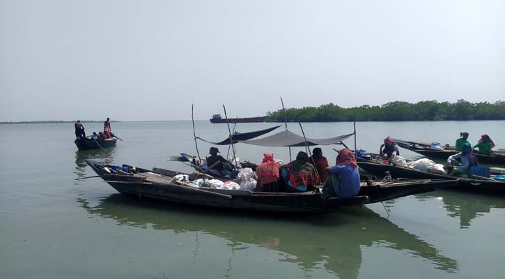 সুন্দরবনে মধু সংগ্রহ শুরু