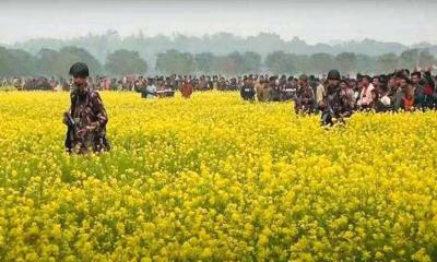 ভারত সীমান্তে জয় শ্রী-রাম স্লোগান, জবাবে বাংলাদেশিদের আল্লাহু আকবার