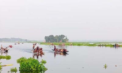 আলফাডাঙ্গায় ঐতিহ্যবাহী নৌকাবাইচ প্রতিযোগিতা