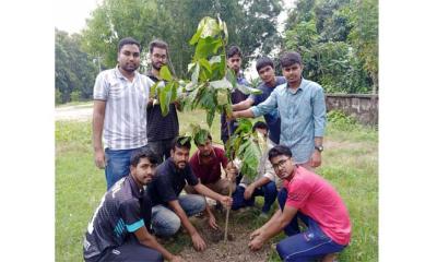 শহীদদের স্মরণে ইবি গ্রিন ভয়েসের বৃক্ষরোপণ