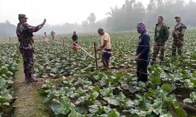 সীমান্তে বিজিবির সঙ্গে তর্কে জড়ালো বিএসএফ