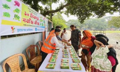 ১০ টাকায় তিন রকমের সবজির বীজ বিক্রি