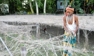 বন্যায় ফসল নষ্ট : নতুন আবাদ নিয়ে দুশ্চিন্তায় চাষিরা