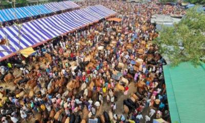 যে হাটে মিলছে দেশি জাতের বেশি গরু