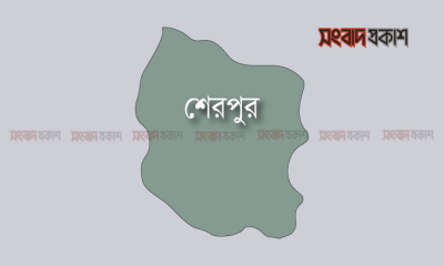 বিদ্যুৎস্পৃষ্টে ২ কৃষকের মৃত্যু