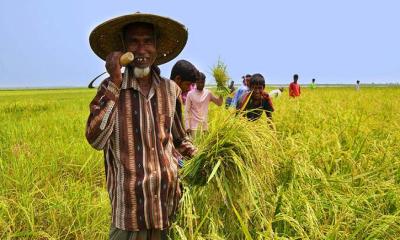 গ্রামে দারিদ্র্য কমেছে, বেড়েছে শহরে