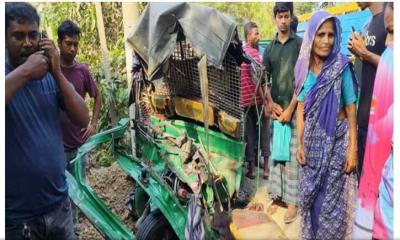 ট্রাক-সিএনজি অটোরিকশার মুখোমুখি সংঘর্ষ, নিহত ৩