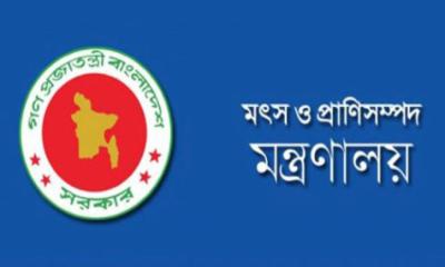 প্রাণিসম্পদ অধিদপ্তরে ১১৫ পদে চাকরি