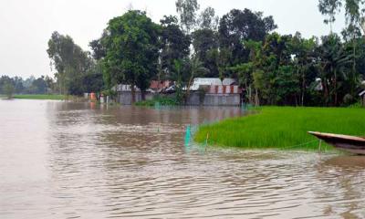 অসময়ের বন্যায় ডুবল কুড়িগ্রামের নিম্নাঞ্চল