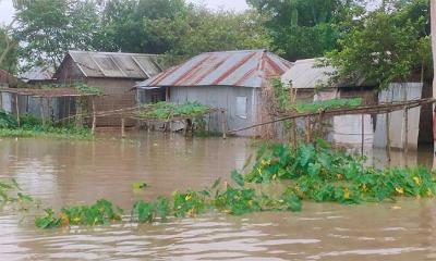 বিপৎসীমার ৩৩ সেন্টিমিটার ওপরে তিস্তার পানি