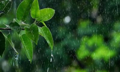 বৃষ্টিপাত নিয়ে সর্বশেষ বার্তায় যা জানাল আবহাওয়া অধিদপ্তর