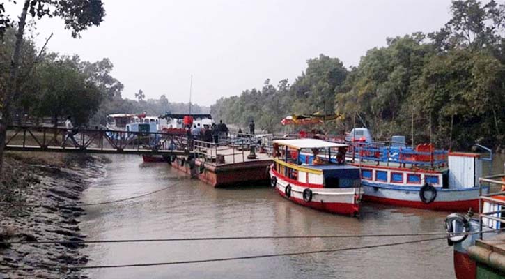 হরতাল-অবরোধে পর্যটকশূন্য সুন্দরবন