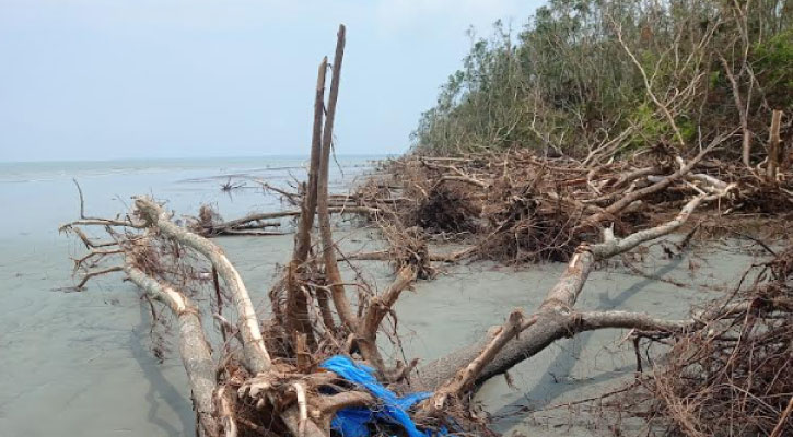 জলবায়ু পরিবর্তনের টাকায় ইকোপার্ক, গাছ কেটে বন উজাড়