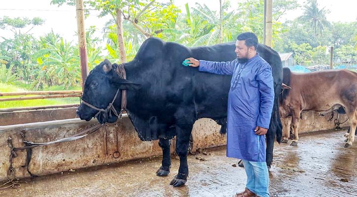 সবার নজর ‘ব্ল্যাক ডায়মন্ডের’ দিকে