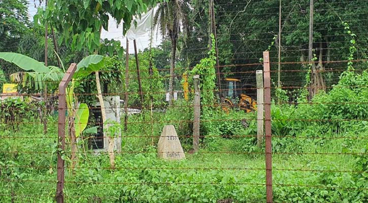 সীমান্তে ২ বাংলাদেশিকে বিএসএফের গুলি