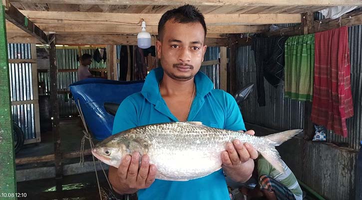 ৬ হাজার ৮শ টাকায় বিক্রি হলো একটি ইলিশ