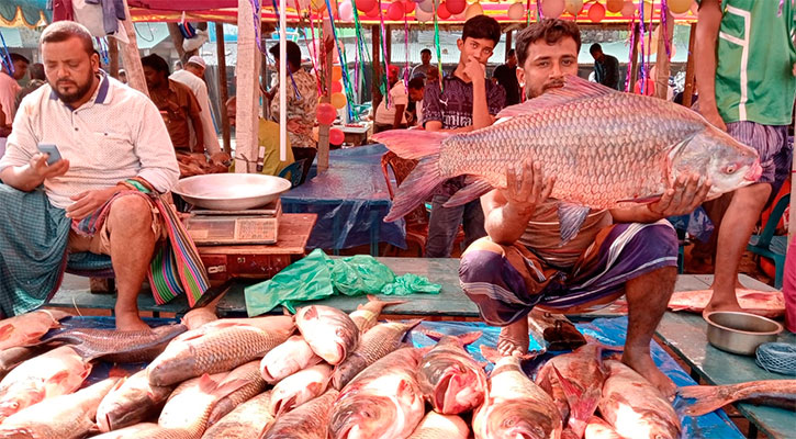 জমে উঠেছে ঐতিহ্যবাহী মাছের মেলা