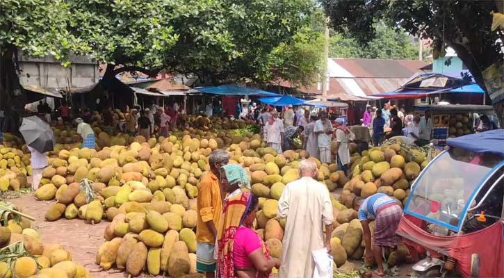 কাঁঠালে সয়লাব পোড়াদিয়া হাট, দাম না পেয়ে হতাশ চাষিরা