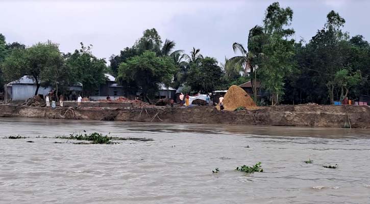 যমুনায় বাড়ছে পানি, দেখা দিয়েছে ভাঙন