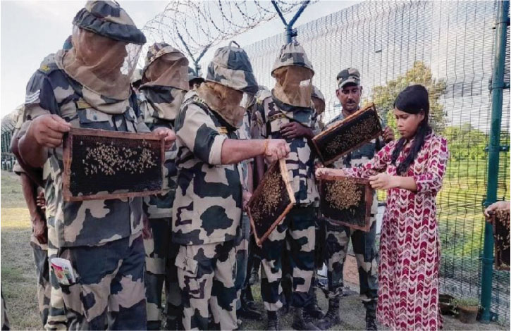 বাংলাদেশিদের ঠেকাতে কাঁটাতারে যা বসাবে ভারত