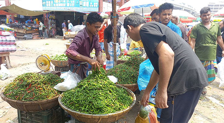 দেড় শ ছাড়িয়েছে কাঁচা মরিচের দাম