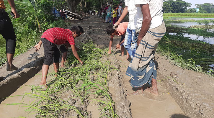 রাস্তায় ধানের চারা রোপণ করে দুর্ভোগের প্রতিবাদ