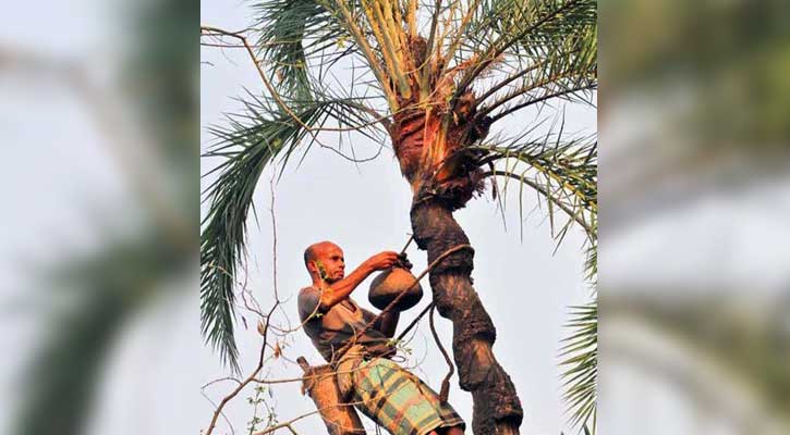 হারিয়ে যাচ্ছে শীতে খেজুর রসের ঐতিহ্য