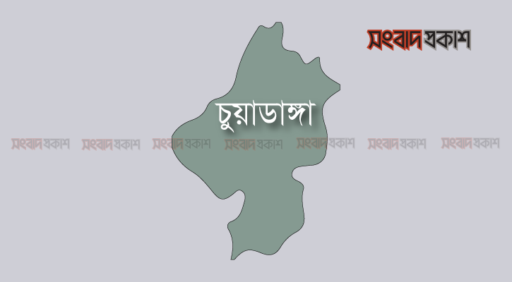 পাখিভ্যান উল্টে ছেলে নিহত, বাবা আহত