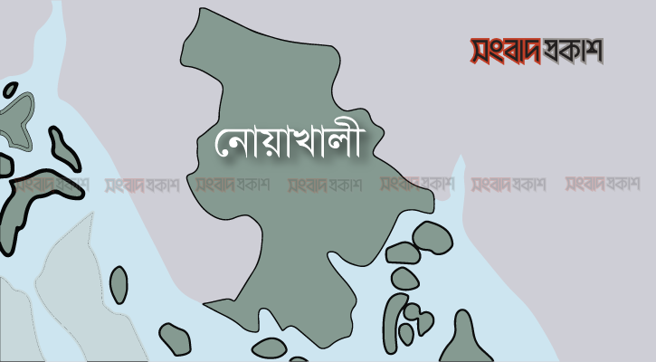 নোয়াখালীতে বিদ্যুৎস্পৃষ্টে ৪ জনের মৃত্যু