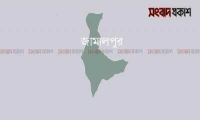 দেবরের ১০ বছর, ননদের ৭ বছর কারাদণ্ড