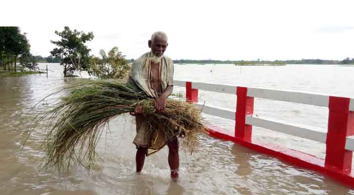 হু হু করে বাড়ছে পদ্মার পানি