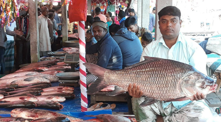 শত বছরের জামাই মেলা, মাছ কেনার প্রতিযোগিতা