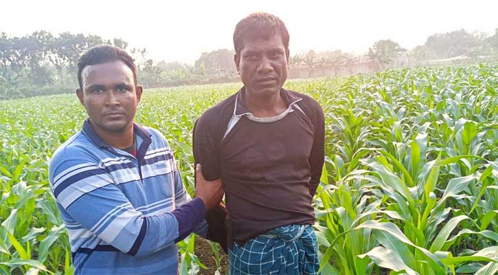 ভুট্টাক্ষেত থেকে চেক প্রতারণা মামলার আসামি গ্রেপ্তার