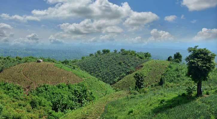 প্রকৃতির অপরূপ লীলাভূমি কাপ্তাই