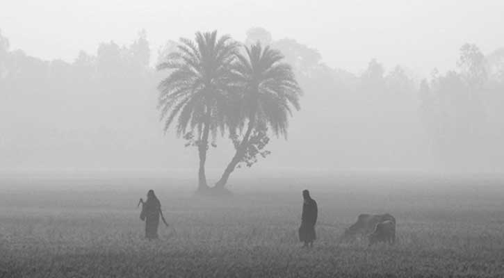 কাটবে কুয়াশা, হতে পারে গুড়ি গুড়ি বৃষ্টি