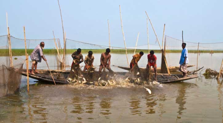 ৫ অভয়াশ্রমে মার্চ-এপ্রিল মাছ ধরা নিষিদ্ধ