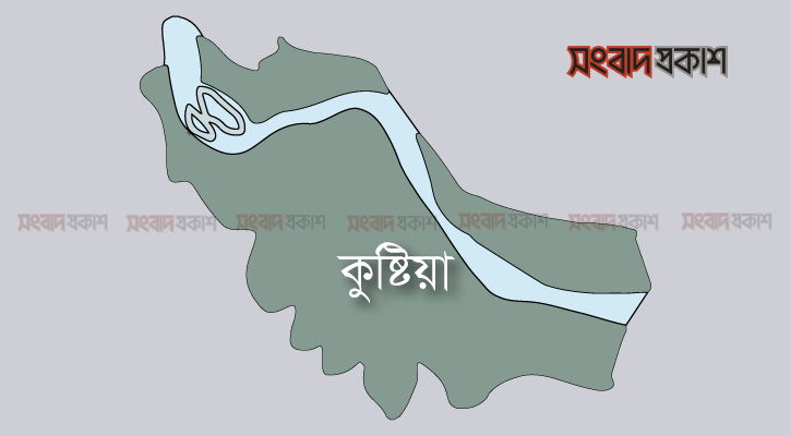 যৌতুক না পেয়ে স্ত্রীকে পিটিয়ে হত্যা