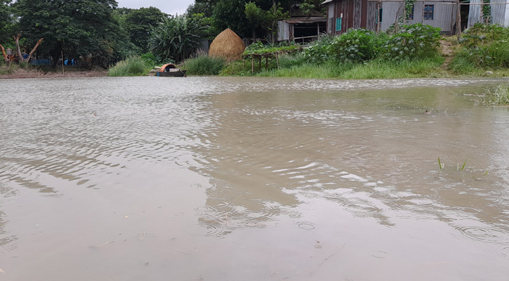 পদ্মার পানি বেড়ে প্লাবিত হচ্ছে নিম্নাঞ্চল