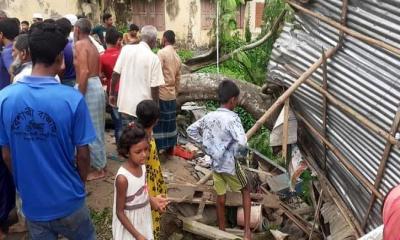 যেভাবে গাছের চাপায় প্রাণ গেল নরসুন্দরের