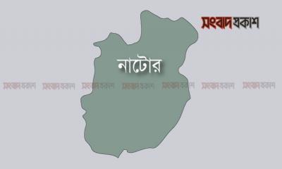 বাস-পিকআপ সংঘর্ষে চালক-হেলপারের মৃত্যু