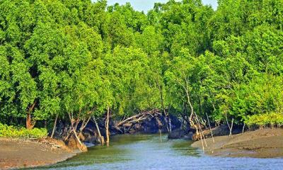 বিষ প্রয়োগে মাছ শিকারের অভিযোগে আটক ২