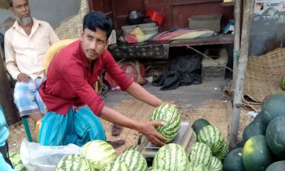 এবার তরমুজ বিক্রিতে প্রশাসনের সতর্কতা