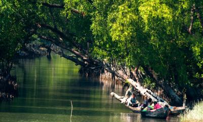 বনরক্ষীদের ছুটি বাতিল